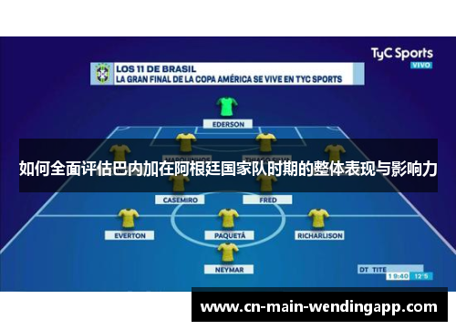 如何全面评估巴内加在阿根廷国家队时期的整体表现与影响力