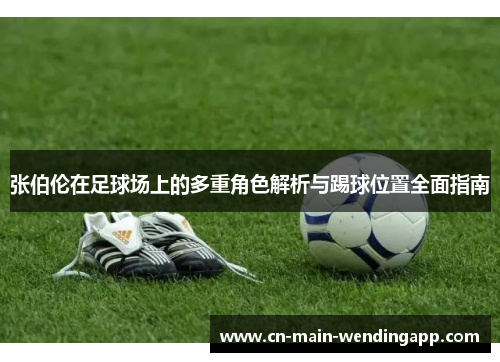 张伯伦在足球场上的多重角色解析与踢球位置全面指南