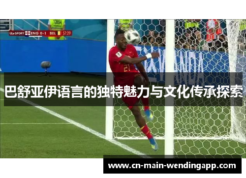 巴舒亚伊语言的独特魅力与文化传承探索
