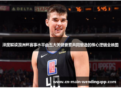 深度解读澳洲杯赛事水平由五大关键要素共同塑造的核心逻辑全貌图