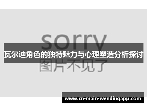 瓦尔迪角色的独特魅力与心理塑造分析探讨