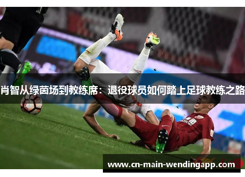 肖智从绿茵场到教练席：退役球员如何踏上足球教练之路