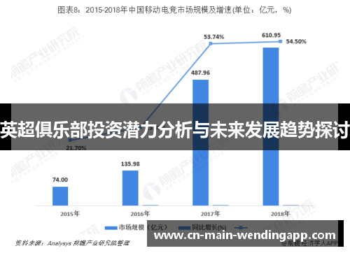 英超俱乐部投资潜力分析与未来发展趋势探讨