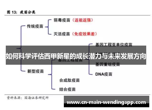 如何科学评估西甲新星的成长潜力与未来发展方向 如何科学评估西甲新星的成长潜力与未来发展方向