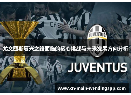 尤文图斯复兴之路面临的核心挑战与未来发展方向分析