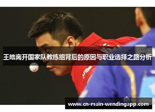 王皓离开国家队教练组背后的原因与职业选择之路分析