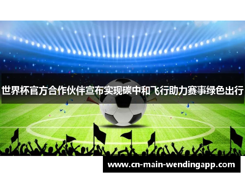 世界杯官方合作伙伴宣布实现碳中和飞行助力赛事绿色出行