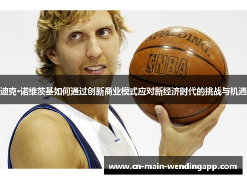 迪克·诺维茨基如何通过创新商业模式应对新经济时代的挑战与机遇